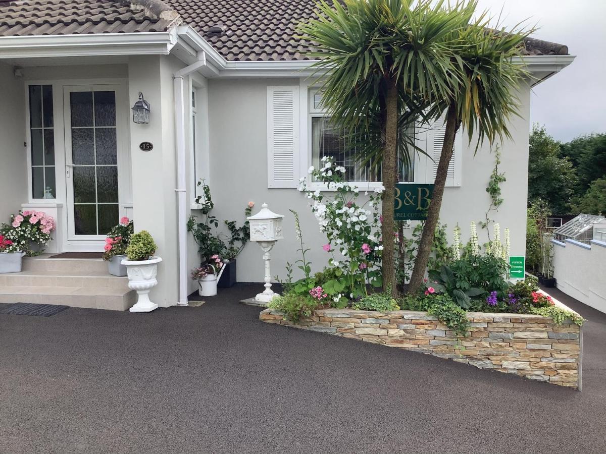 Laurel Cottage Ballymoney Zewnętrze zdjęcie